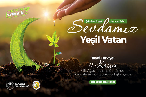 11 Kasım Milli Ağaçlandırma Günü